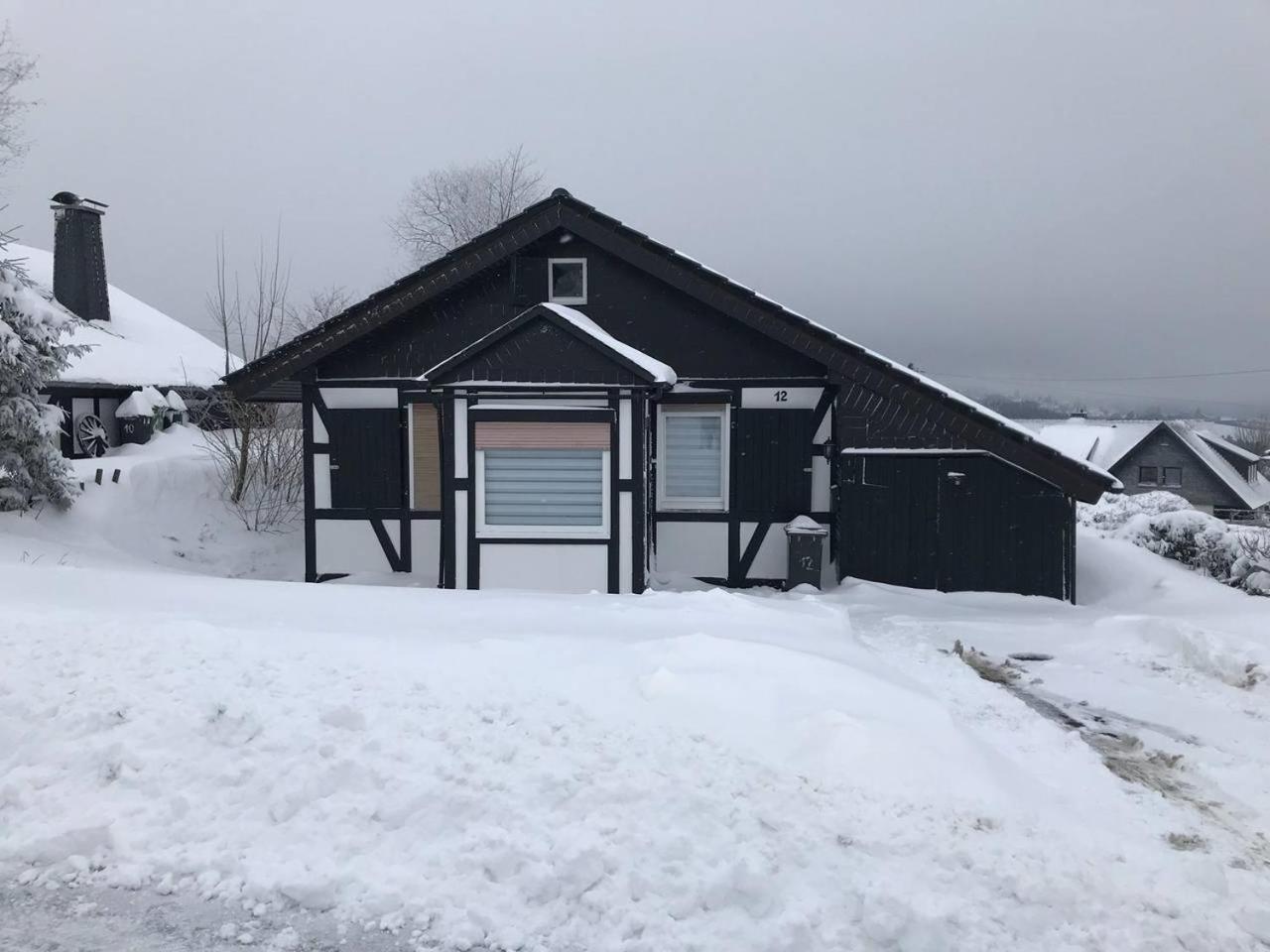 Ferienhaus Hohenblick In Winterberg-Langewiese Екстер'єр фото